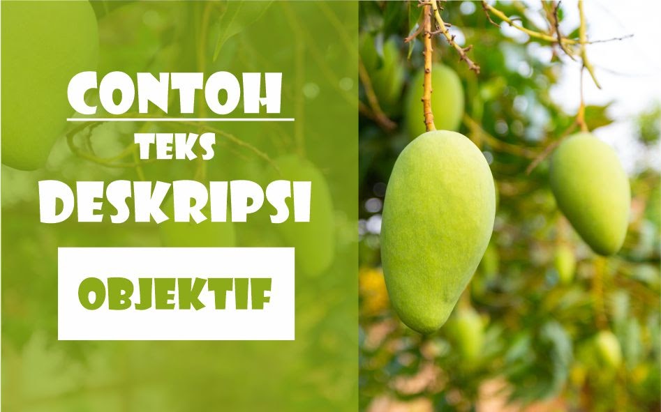 10+ Contoh Teks Deskripsi Objektif Singkat Bahasa Indonesia - Si Jenius