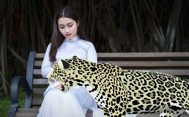 كيفية مشاهدة الحيوانات Google 3d في منزلك