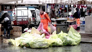 Η μισή τροφή που παράγεται παγκοσμίως «πετιέται στα σκουπίδια»