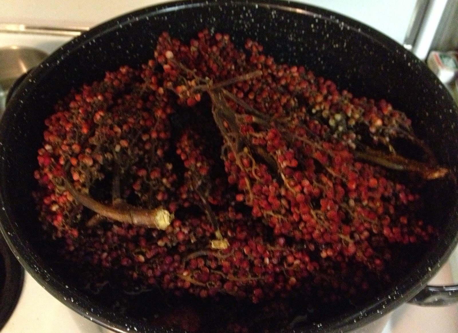 The Inconsequential Blogger Dyeing with sumac berries