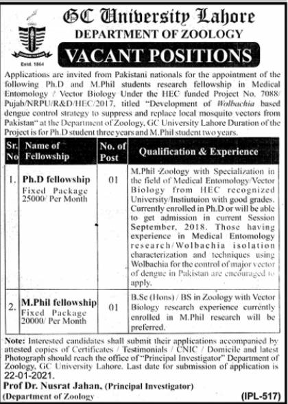 GCU Lahore Jobs College of Government 2021 GCU Lahore Jobs College of Government 2021