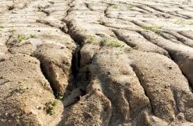 Soils: Soil