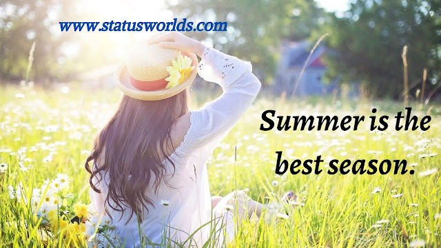 Summer Status, Caption And Quotes