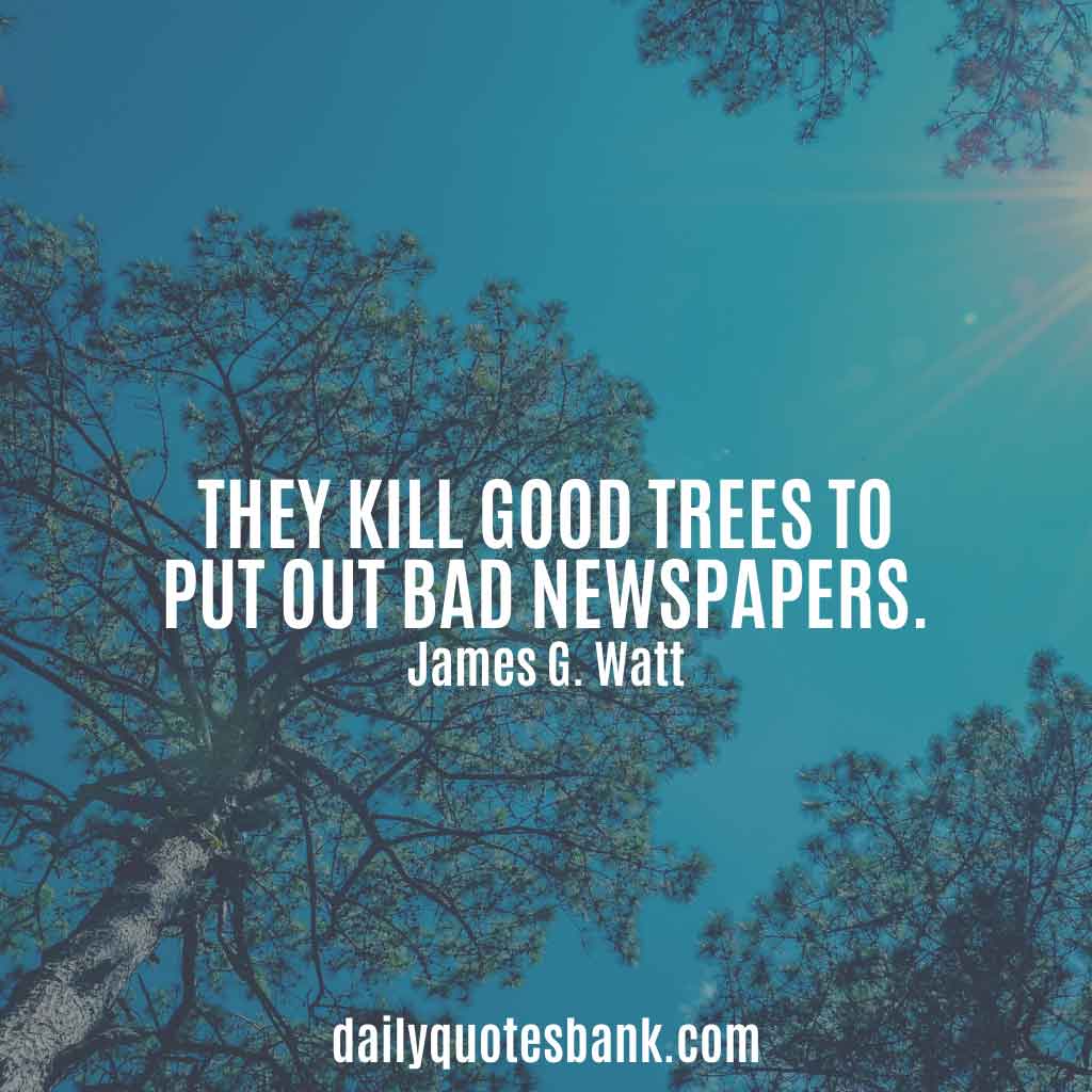 Quotes About Planting Trees 100 Inspirational Quotes About Planting Trees For Future Generations