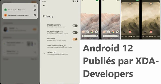 Android 12 Premier aperçu du système Android 12 de Google.