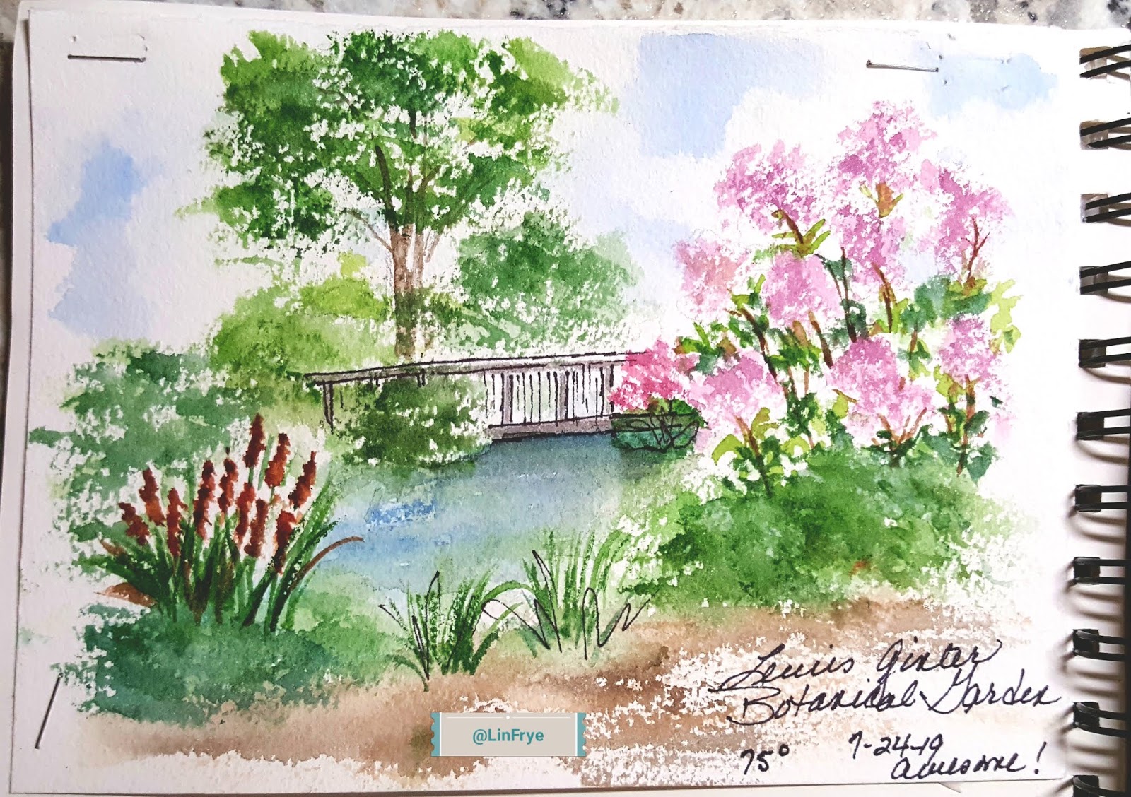 Sketching In Nature Journal Lewis Ginter Botanical Garden