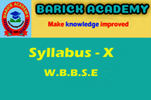 Syllabus - (X)