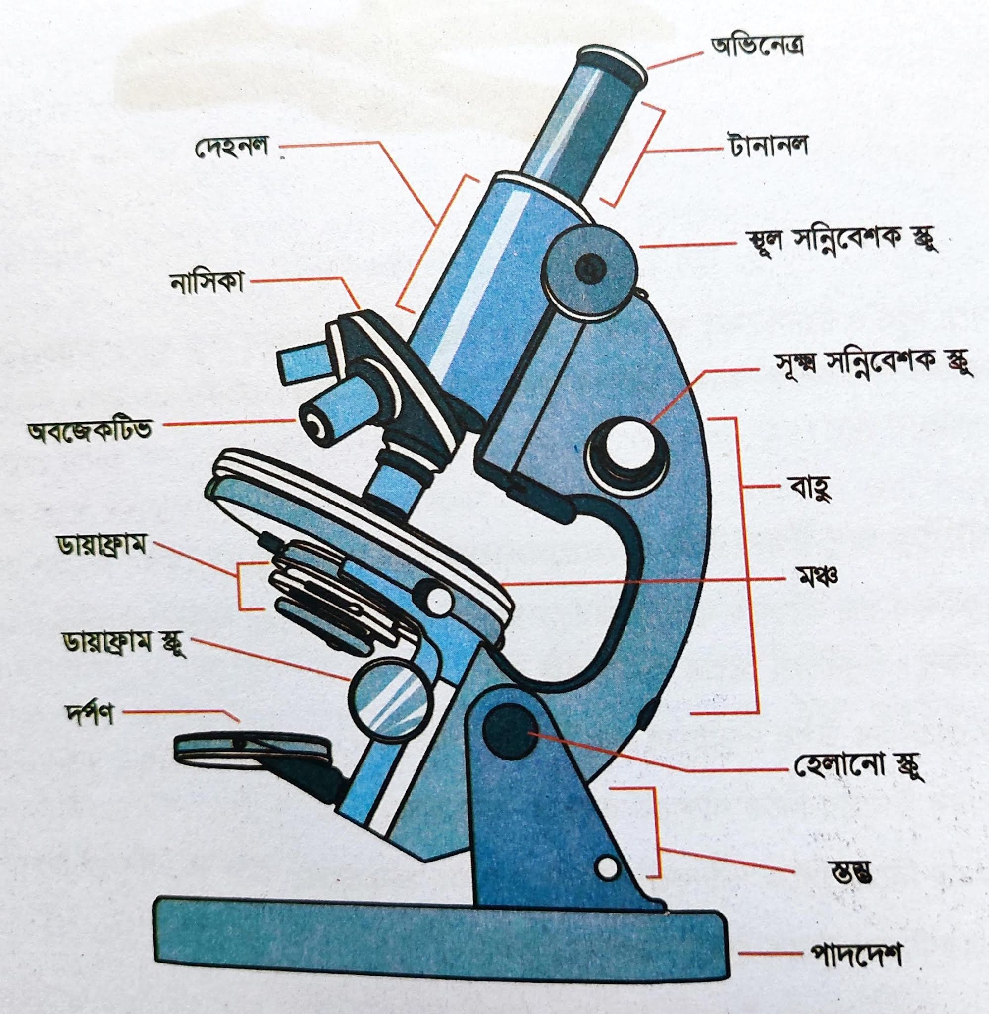 যৌগিক অনুবীক্ষন যন্ত্র পর্যবেক্ষন Compound Microscope parts