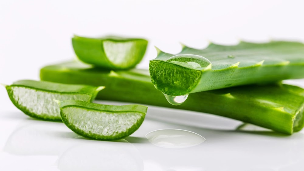 Semua Tentang Aloe Vera: Manfaat, Risiko, dan Masih Banyak Lagi Tentang Aloe Vera