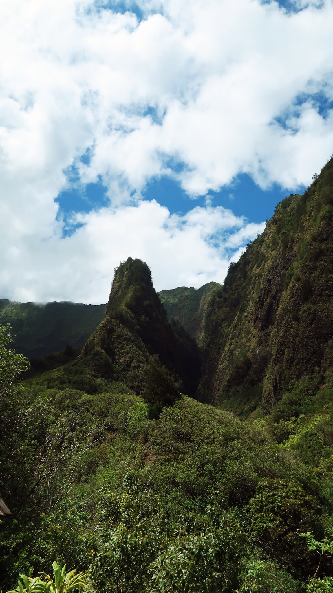 The Ultimate Travel Guide for Maui, Hawaii | Traveling to Hawaii During the Pandemic | Maui Hawaii Hikes | Best Hotels in Maui | Best Hikes in Maui | Where to Eat in Maui | Hawaii Travel Guide