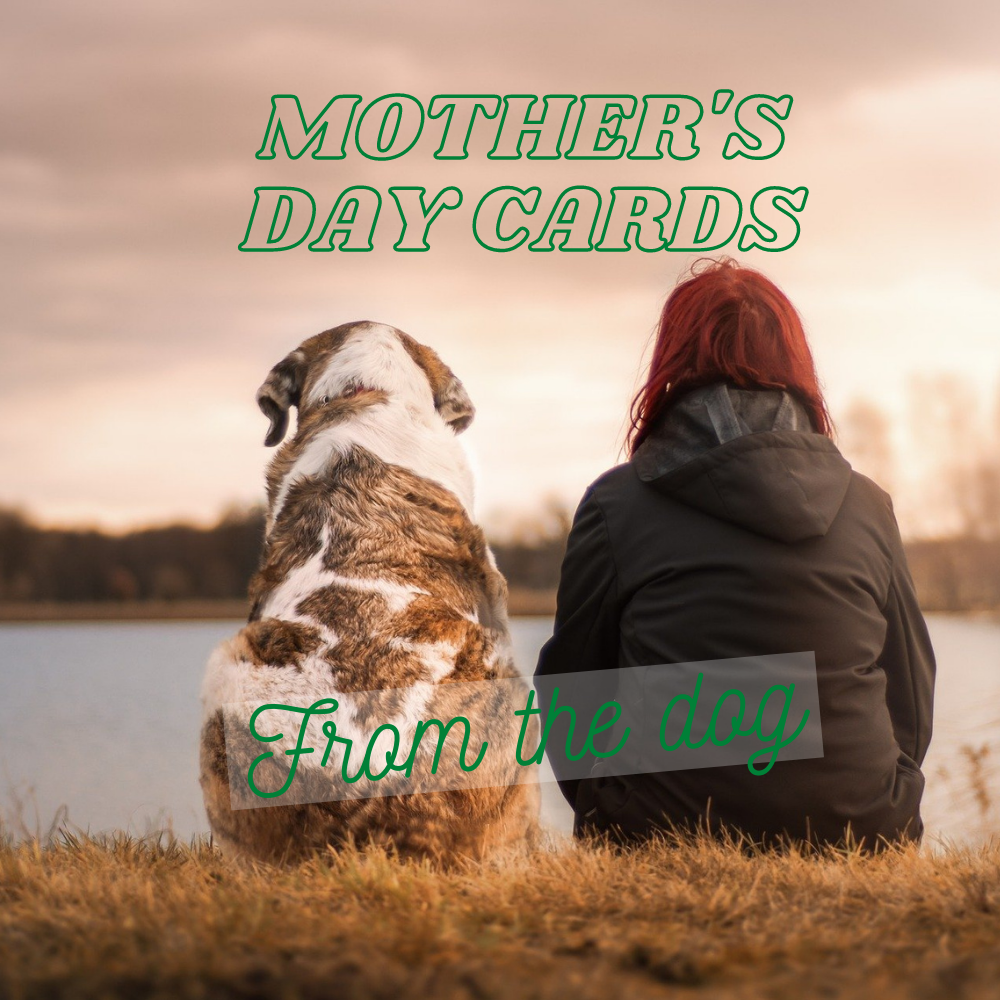 Mothers Day Cards from the Dog