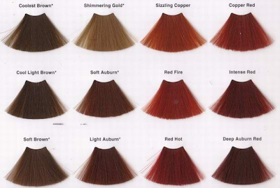 professional Clairol Color Chart