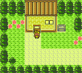 Pokemon Mint Fantasy Screenshot 03