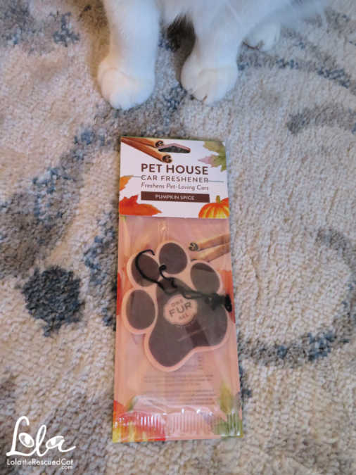 Say Goodbye to Pet Odors With Pet House by One Fur All Lola The