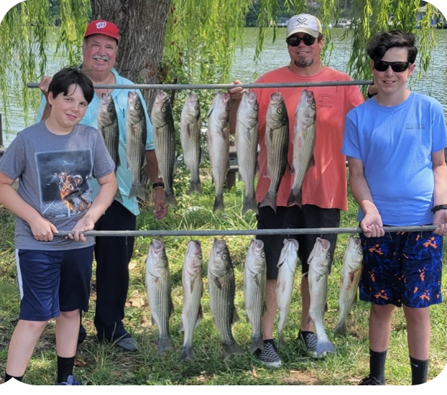 Striper Report Check out these incredible Lake Anna Striper Catches