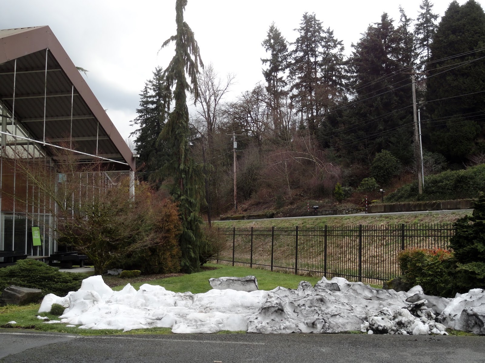 danger garden nursery visits on the way to Seattle...