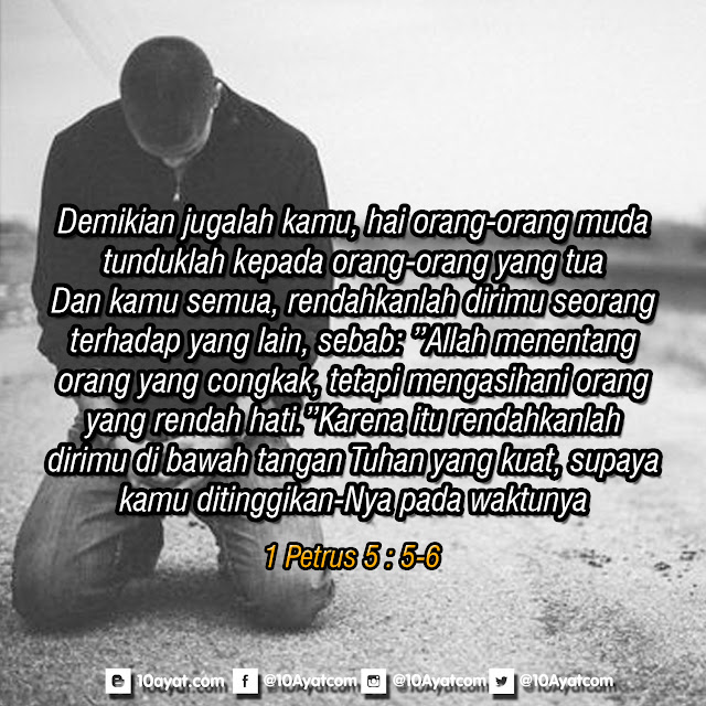 1%2BPetrus%2B5%2B %2B5 6