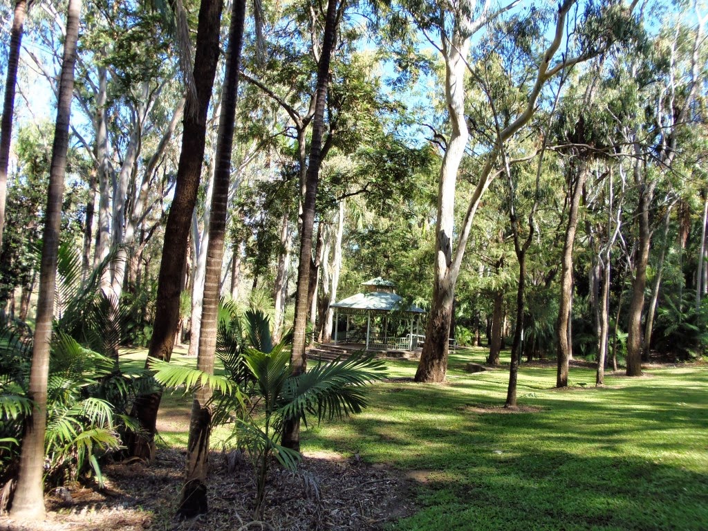 Solo Steve On The Road EMERALD Qld THE CONVOY IS FORMED