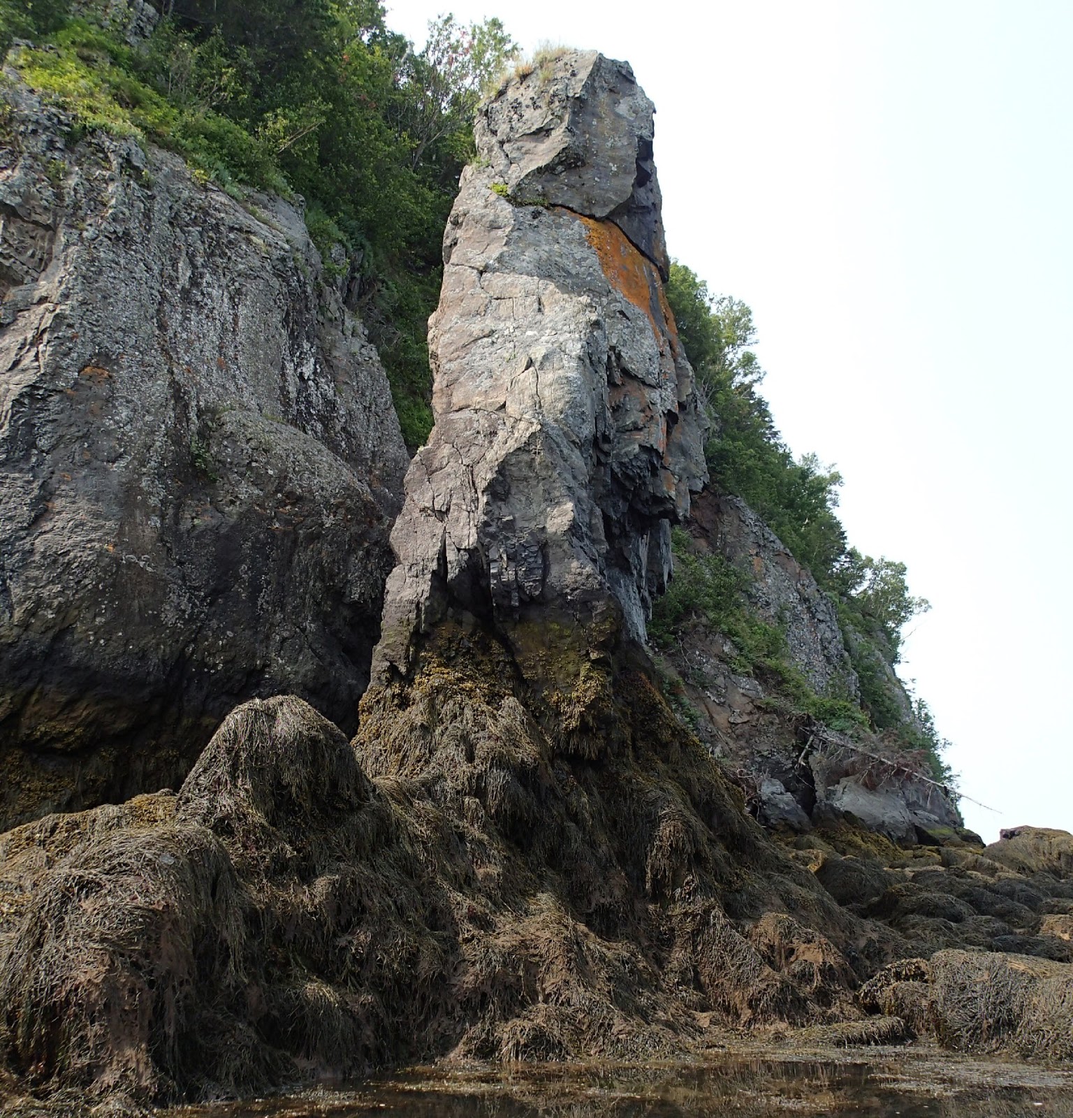 PenobscotPaddles Friar Bay, Campobello Island N.B.