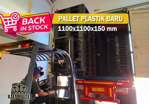 pallet plastik baru ekspor