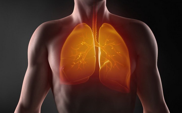 Продукты для сильных, здоровых легких: укрепляем иммунитет, дышим полной грудью и не боимся вирусов