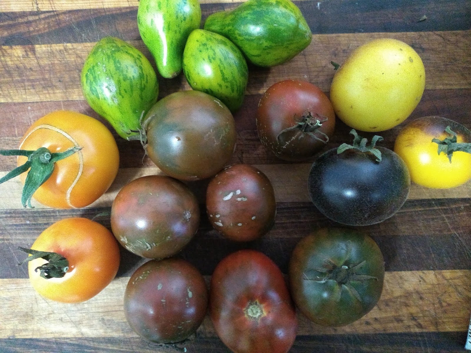 Mudflower Japanese Black Trifele Tomato Australia