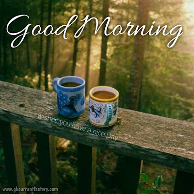 Beautiful Good Morning Coffee Images, Pics With Love Free Download Good Morning Coffee Images, Good Morning Coffee Pic, Good Morning Images Of coffee, Good Morning Images Coffee, Good Morning coffee Love, Good Morning Images With Hot Coffee Free Download