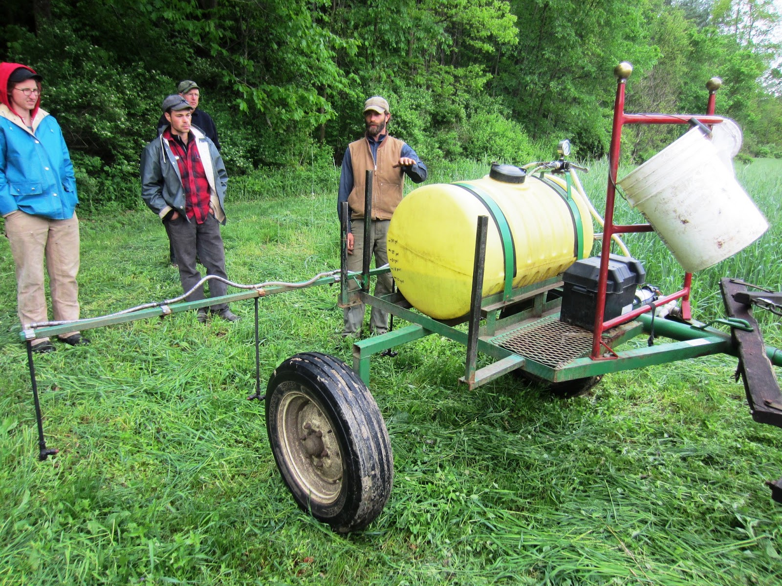 Two Spruce Farm video, "two options", trellised peas, natural roots