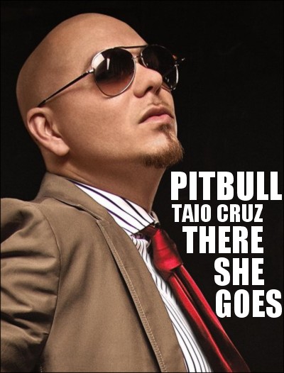 PitBull Ft Taio Cruz-There She Goes(House Remix-2011)
