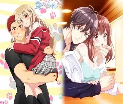أفضل 5 انميات الاتشي لسنة 2020 okyshorte