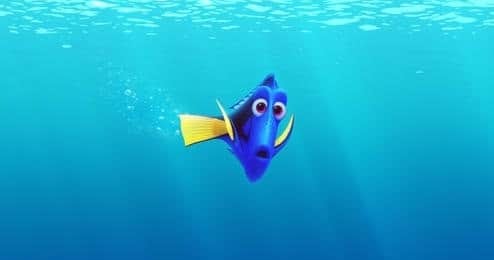 APA ITU CINTA? FISH LOVE?