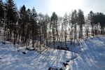 【後藤純男美術館（北海道空知郡上富良野町）】