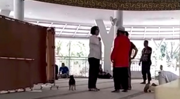 Wanita Pembawa Anjing ke Masjid Dijerat Pasal Penistaan Agama