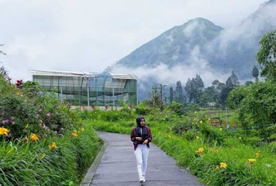wisata agropolitan di sukapura probolinggo tempat wisata di probolinggo terbaru