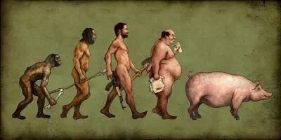 Human Evolution Figuer？