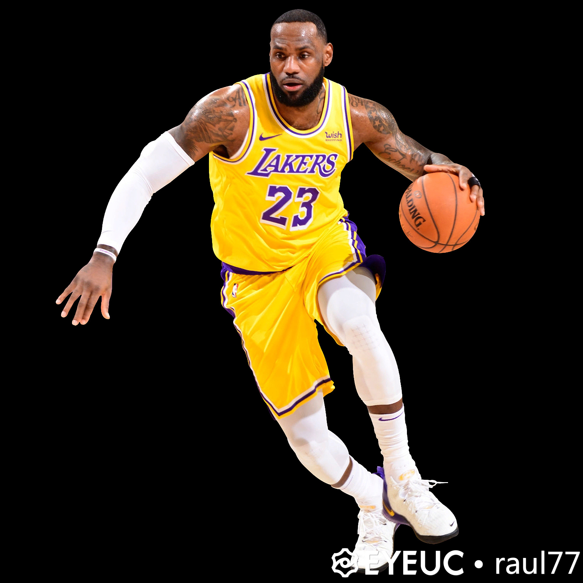NBA 2K21 LeBron James Lakers Portrait Update by raul77