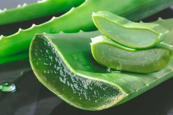 6 safe and effective home remedies for purulent gingivitis The simple home remedy for purulent gingivitis comes from aloe