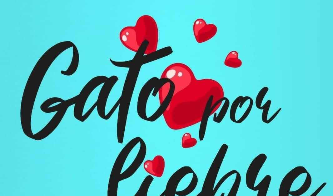 Gato por liebre Sophie West