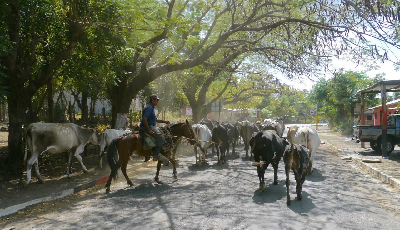 Von Alaska nach Feuerland... Impressionen aus Nicaragua II