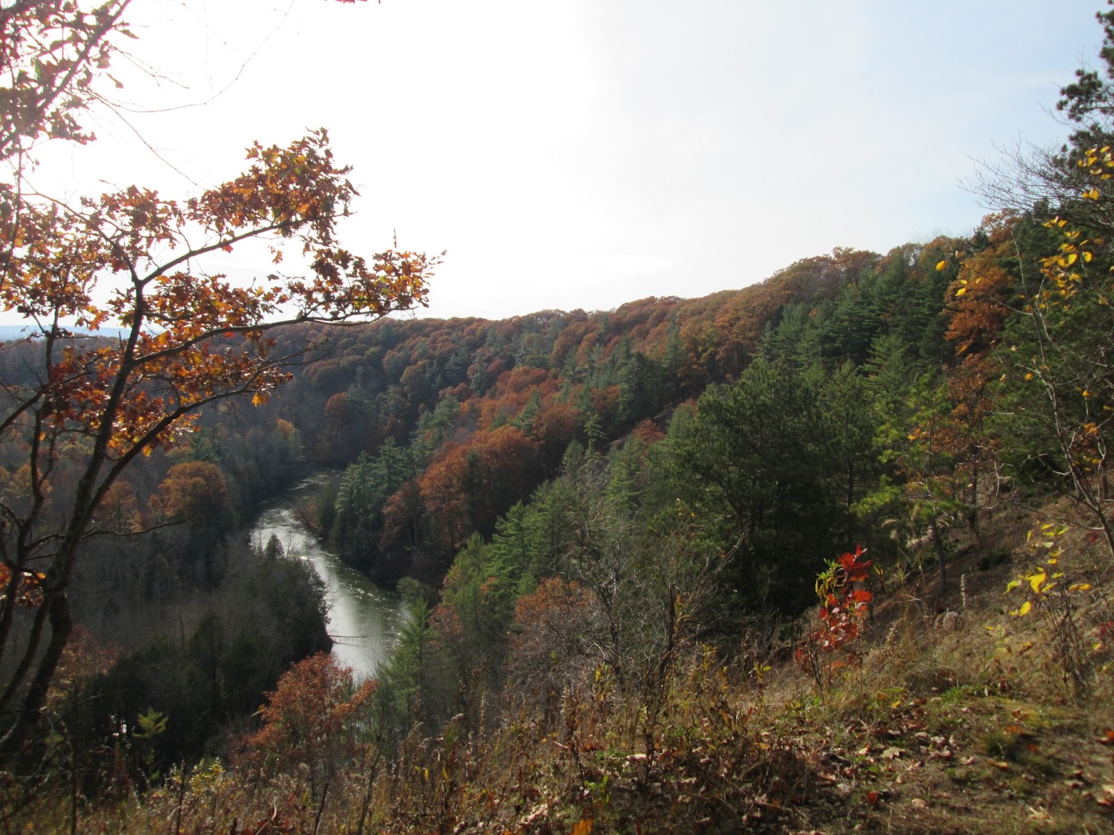 Photodump High Rollaways / The United States of Becky