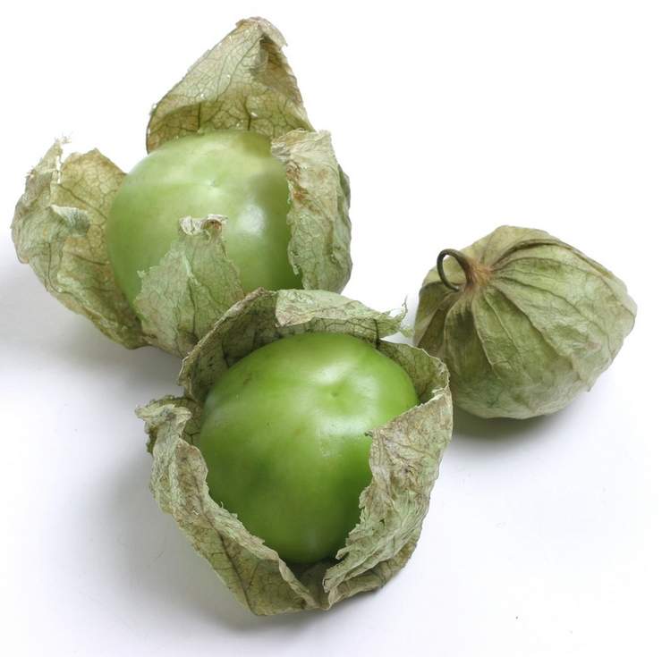 QUINTAIS IMORTAIS Estados Unidos Researchers study wild tomatillo as