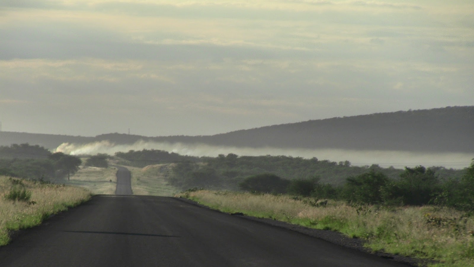 Ugab Terassen in Namibia: Holzkohle Produktion in den Ugab Terassen