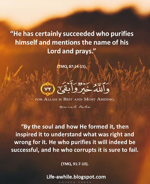 For Life is Awhile Here The concept of selfpurification