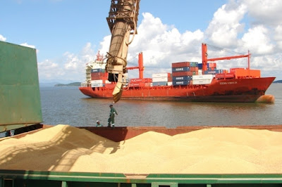 Transporte para graneles - Operadores logísticos