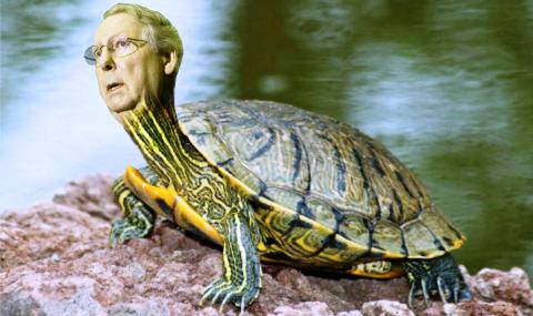 I Should Be Laughing: Mitch McConnell McTurtle Is A F**king Liar