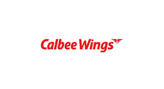 PT Calbee Wings Food