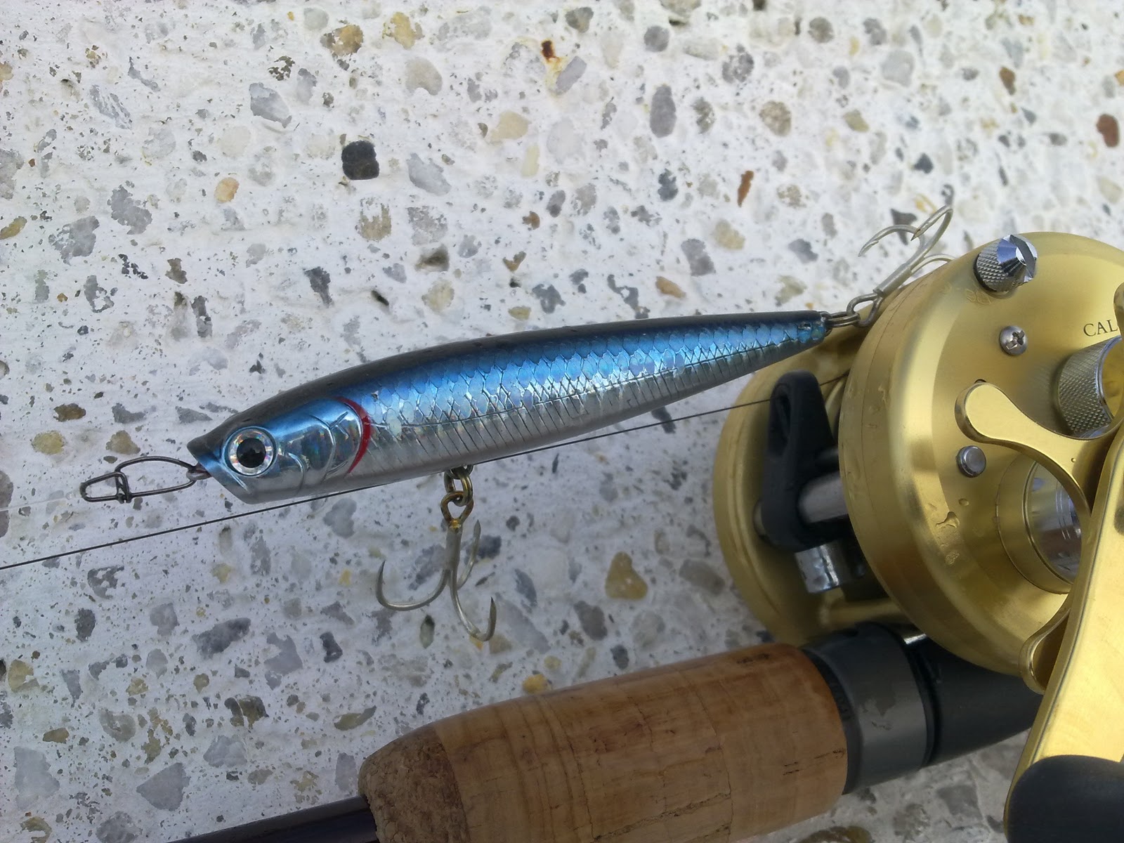 LUCKY CRAFT SW BLOG The Daily Flash Minnow