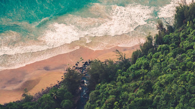 HD Wallpaper, Forest, Beach Waves, Sea, Aerial View Wallpaper Forest, Beach Waves, Sea, Aerial HD