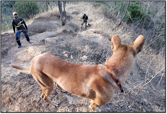 Dhak bahiri caves, story of dog