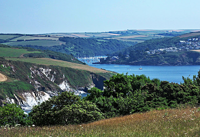 View of Fowey River from Gribbin Head